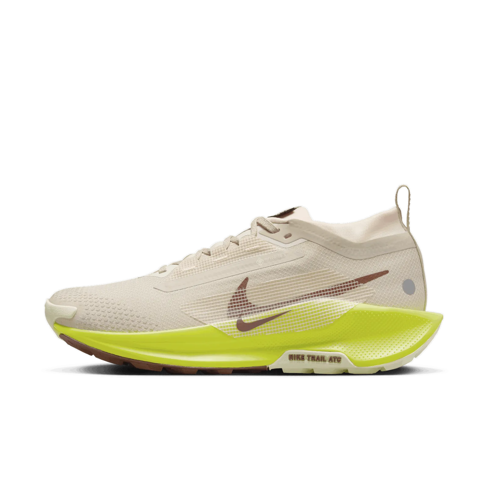 Nike Pegasus Trail 5 GORE-TEX FQ0912-101